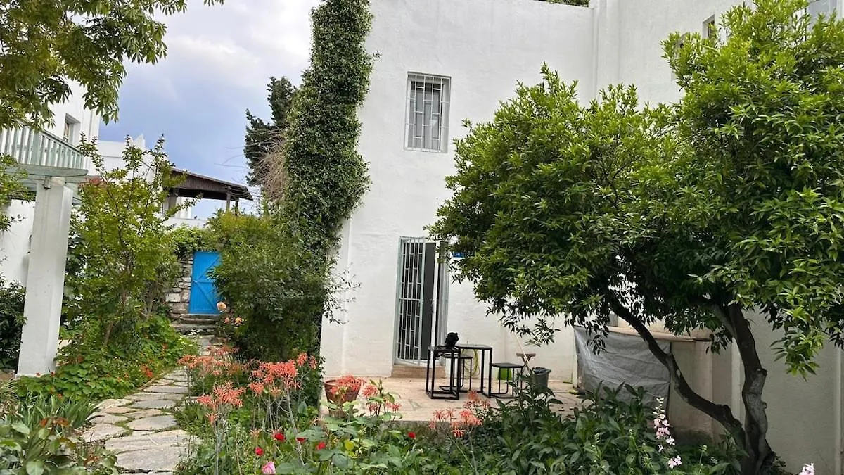 Duplex Holiday Home For 4 People In Bodrum Center